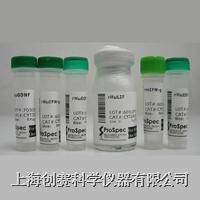 Recombinant Human IL-1RA|重组人白介素-1受体拮抗剂