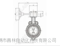 R375XE68,R375XN69,R375XV70,R376XT74,RW008W81,375/376/377型蜗轮蝶阀OMAL