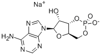 环磷酸腺苷钠盐,高纯，98%