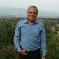 Zeev Volkovich