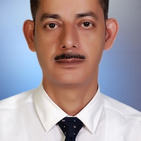 Hosni Khairy Salem