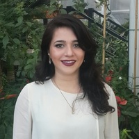 Ayşe Yıldırım Ateş