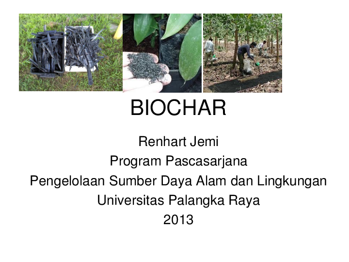 First page of “Biochar”