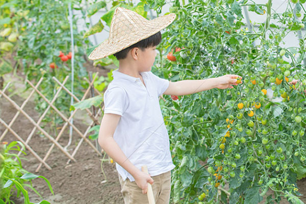 《城市小农夫》7天自然探索夏令营