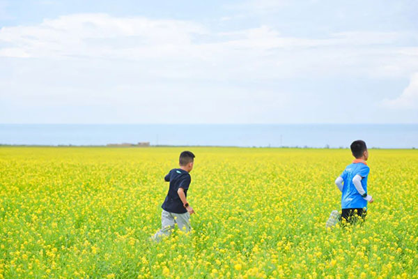 青海湖房车奇遇记游学夏令营6天