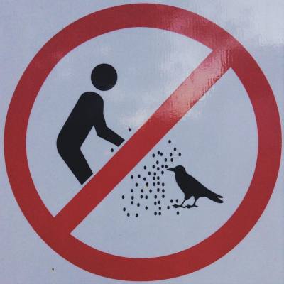 Do not shred yourself at the bird. #sign #warning #donot #latergram #nofilter
#Sydney #Australia (at Sydney Harbour)