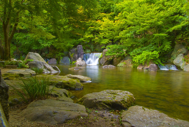 万博記念公園