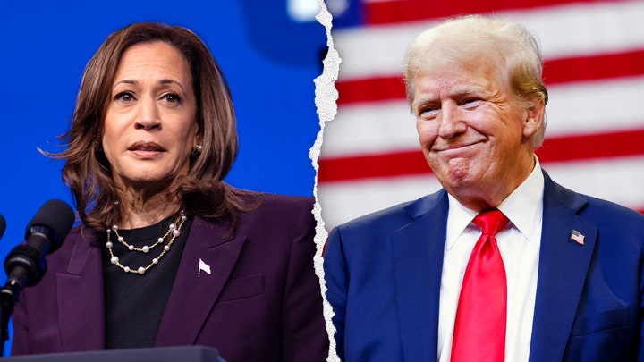 Harris called out for 'stealing' signature Trump policy, former president says she won't actually do it - Fox News