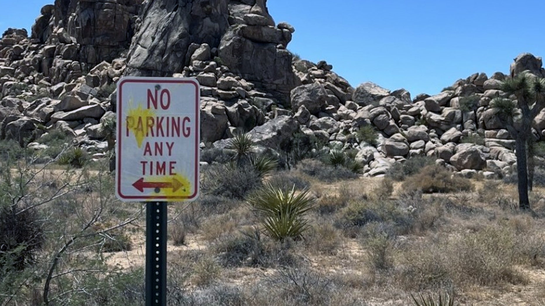 Tourists deface Joshua Tree National Park in paintball and slingshot shooting rampage