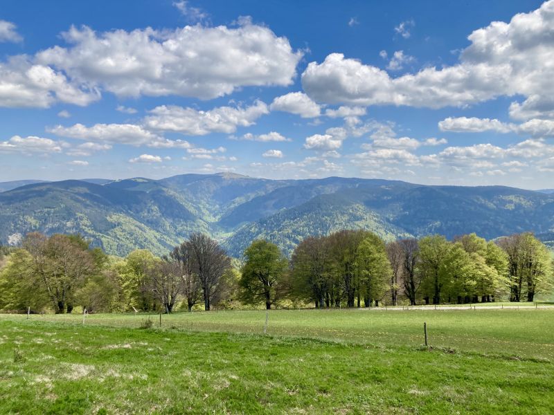 A pleasant meadow, a line of trees, and in the distance forested hills under a blue sky dotted with small clouds.