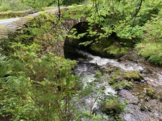 A stone bridge over a stream with greenery on each bank.