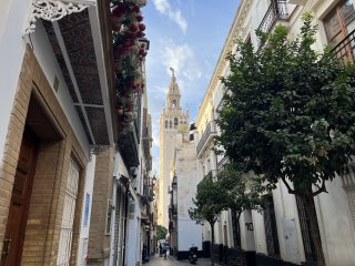 Looking down a narrow alleyway at the beautiful bell tower of the cathedral as the sun lights up one side.