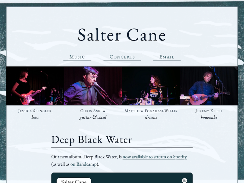 A screenshot of the new version of the Salter Cane website with a watery colour palette.