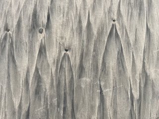 Looking down on dark streaks on a sandy beach.