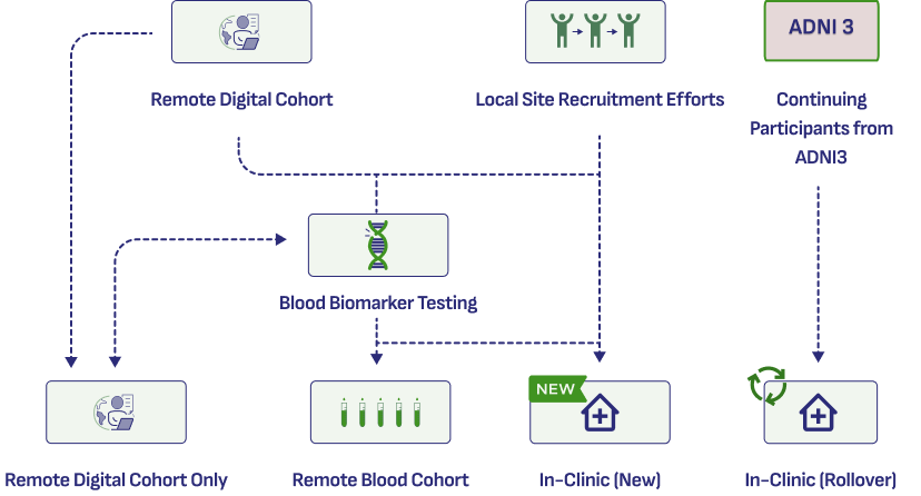 ADNI4 Recruitment Flow