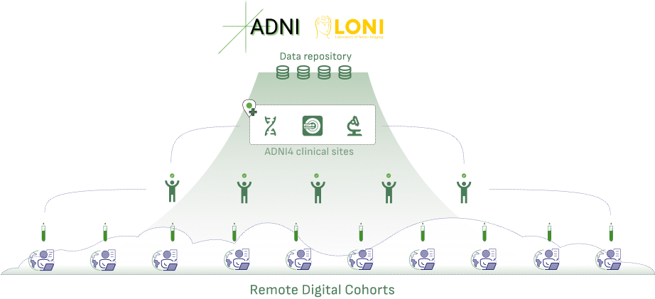 Remote Digital Cohort