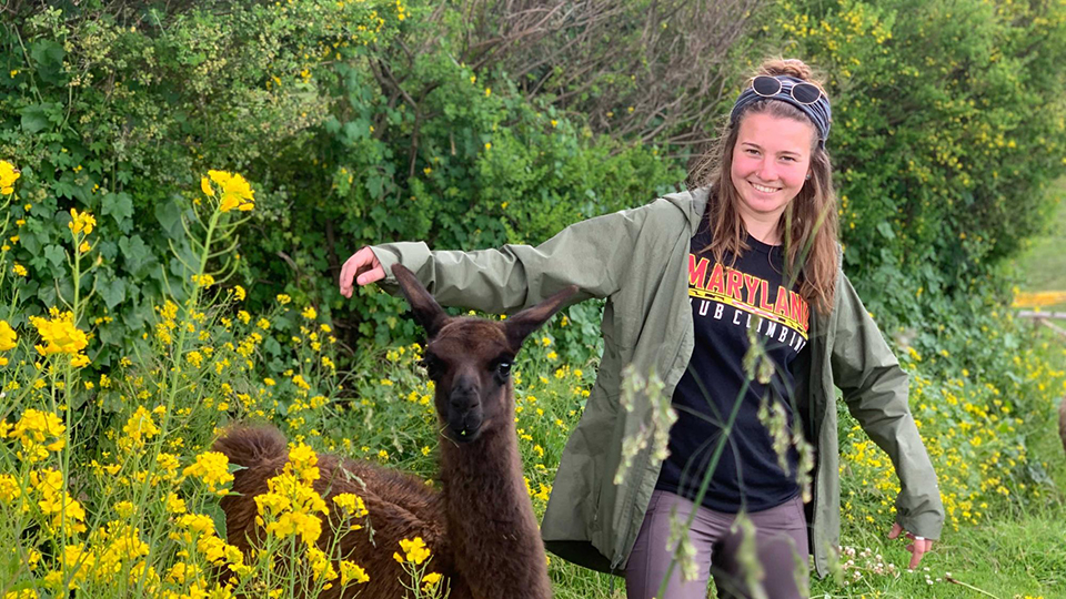 Female students standing next to a llama 