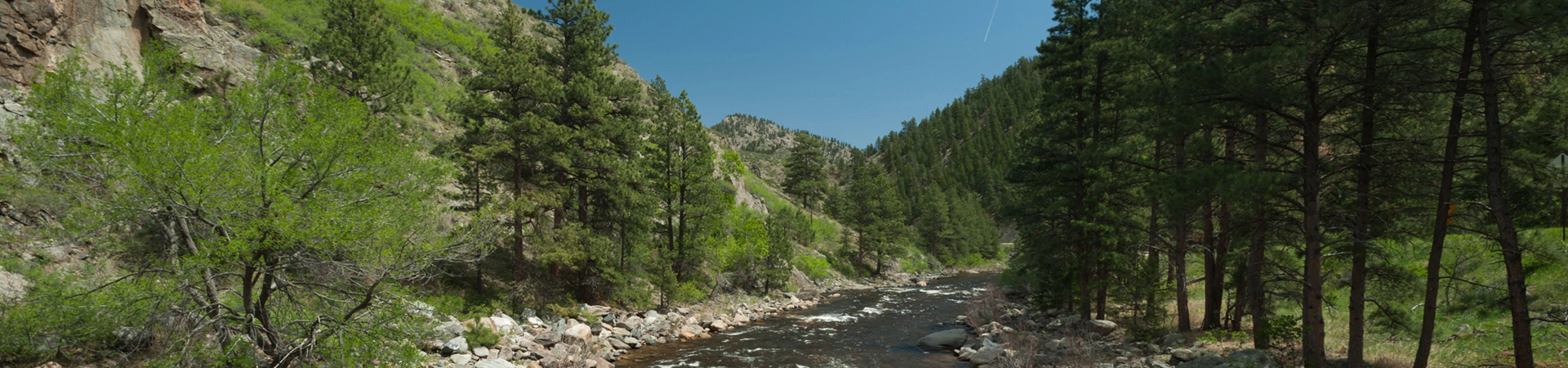 river, trees, and mountains