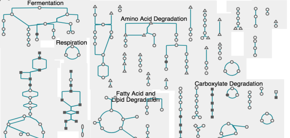 Cellular Overview