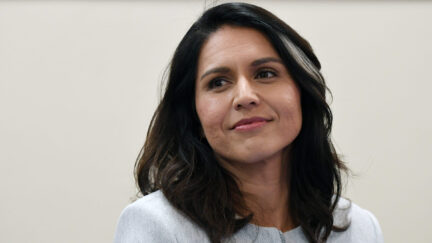 Tulsi Gabbard