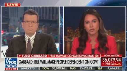 Tulsi Gabbard slams Democrats