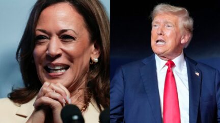 Kamala Harris and Donald Trump