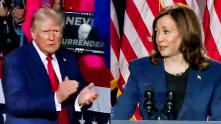 'Is Donald Trump OK' Kamala Harris Camp Hits Back At '78-Year-Old Criminal' Trump's Fox News Interview