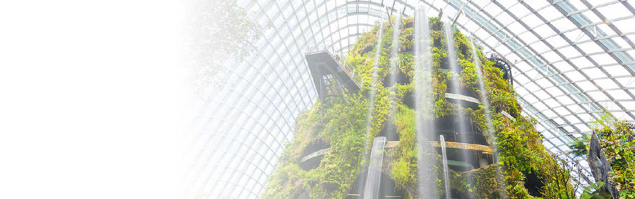 Gardens by the Bay - Cloud Forest