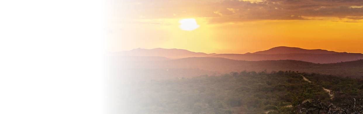 Arbres d'Afrique du Sud