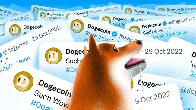 Prisoppgang på Dogecoin (DOGE): Kjøpssignal på kjeden dukker opp