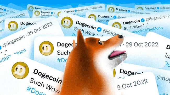 Dogecoinin (DOGE) hinnan nousu: ketjun ostosignaali ilmestyy