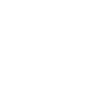 PIXIE PLUS