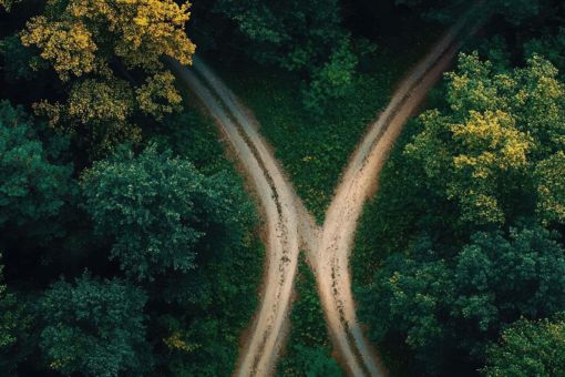 Single road diverging into two paths