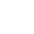 The main bones of the leg are the thigh bone (femur) and shinbone (tibia).