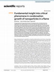 Research paper thumbnail of Fundamental insight into critical phenomena in condensation growth of nanoparticles in a flame