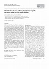 Research paper thumbnail of Identification of aster yellows phytoplasma in garlic and green onion by PCR-based methods