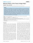 Research paper thumbnail of Molecular Mimics of the Tumour Antigen MUC1