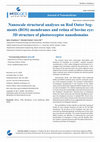 Research paper thumbnail of Nanoscale structural analyses on Rod Outer Segments (ROS) membranes and retina of bovine eye: 3D structure of photoreceptor nanodomains