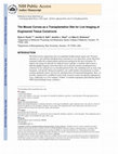 Research paper thumbnail of The Mouse Cornea as a Transplantation Site for Live Imaging of Engineered Tissue Constructs