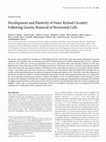 Research paper thumbnail of Development and Plasticity of Outer Retinal Circuitry Following Genetic Removal of Horizontal Cells