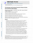 Research paper thumbnail of The Phenotypic And Functional Properties Of Mouse Yolk-Sac-Derived Embryonic Macrophages