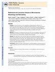 Research paper thumbnail of Multifractal and Lacunarity Analysis of Microvascular Morphology and Remodeling