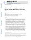 Research paper thumbnail of Macrophages engulf endothelial cell membrane particles preceding pupillary membrane capillary regression