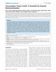 Research paper thumbnail of Transcription Factor FoxO1 Is Essential for Enamel Biomineralization