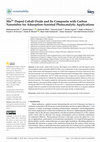 Research paper thumbnail of Mn2+ Doped Cobalt Oxide and Its Composite with Carbon Nanotubes for Adsorption-Assisted Photocatalytic Applications