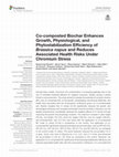 Research paper thumbnail of Co-composted Biochar Enhances Growth, Physiological, and Phytostabilization Efficiency of Brassica napus and Reduces Associated Health Risks Under Chromium Stress