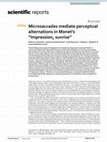 Research paper thumbnail of Microsaccades mediate perceptual alternations in Monet’s “Impression, sunrise”