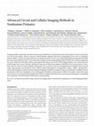 Research paper thumbnail of Advanced Circuit and Cellular Imaging Methods in Nonhuman Primates