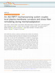 Research paper thumbnail of An Abl-FBP17 mechanosensing system couples local plasma membrane curvature and stress fiber remodeling during mechanoadaptation