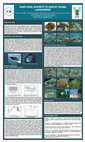 Research paper thumbnail of Hard Coral Diversity of Minicoy Island, Lakshadweep